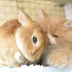 最高に好き。