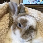 ぼくも手伝うから。