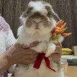 夢の10歳色々あるよね！