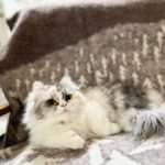 がんば、ママ！