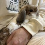 17日ぶりに快音❤︎