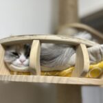 まさかのグルメ！