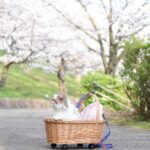 嬉しすぎるキセキ✨