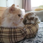 代打！がんばれ