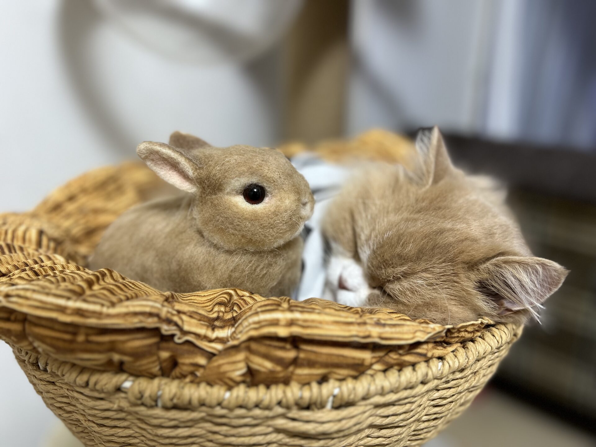 一緒がいいね